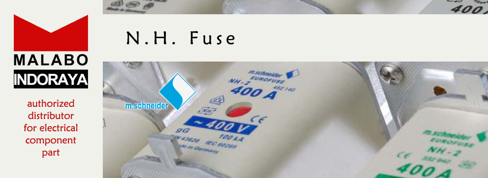 MSchneider NH Fuse